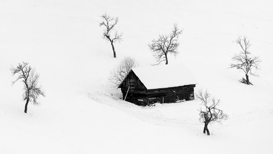 17 - In armonie (Fundata, Brasov)