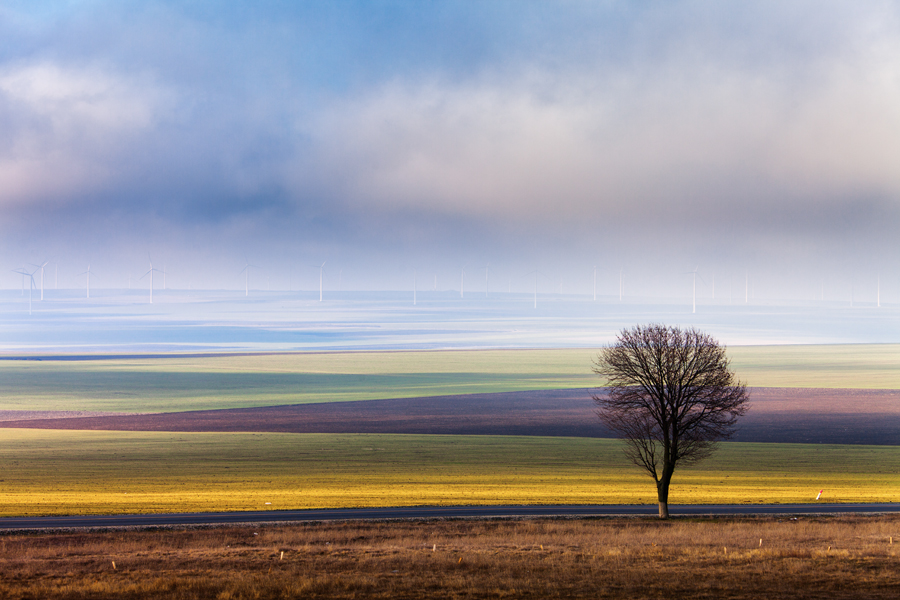 28 - Cadoul zilei de Poveste (Dobrogea)