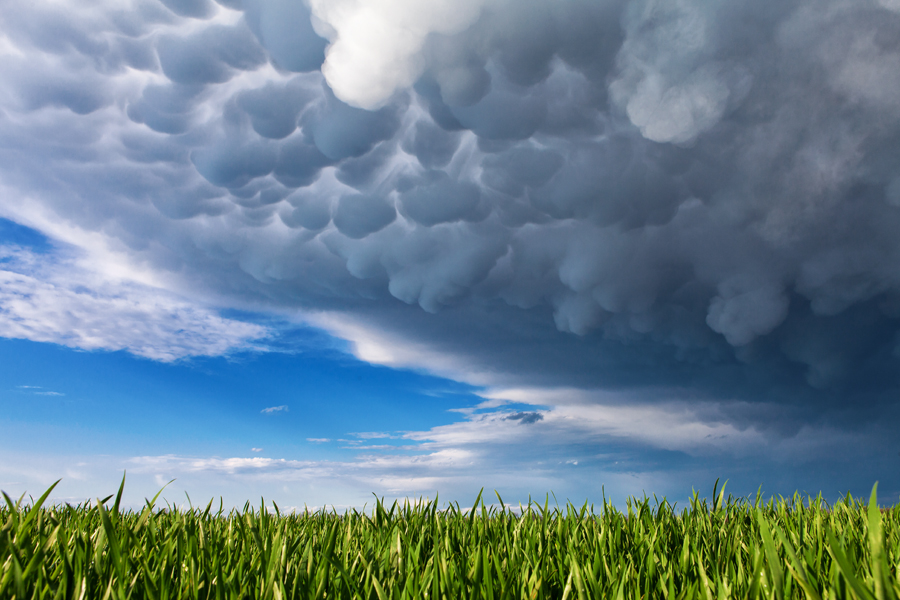 31 - Mammatus clouds (Comana)