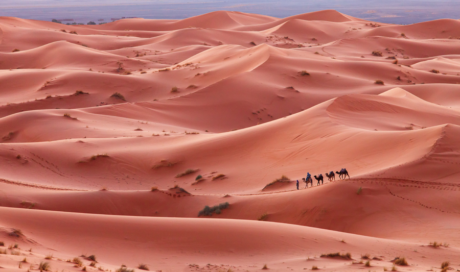 48 - Caravana (Maroc)