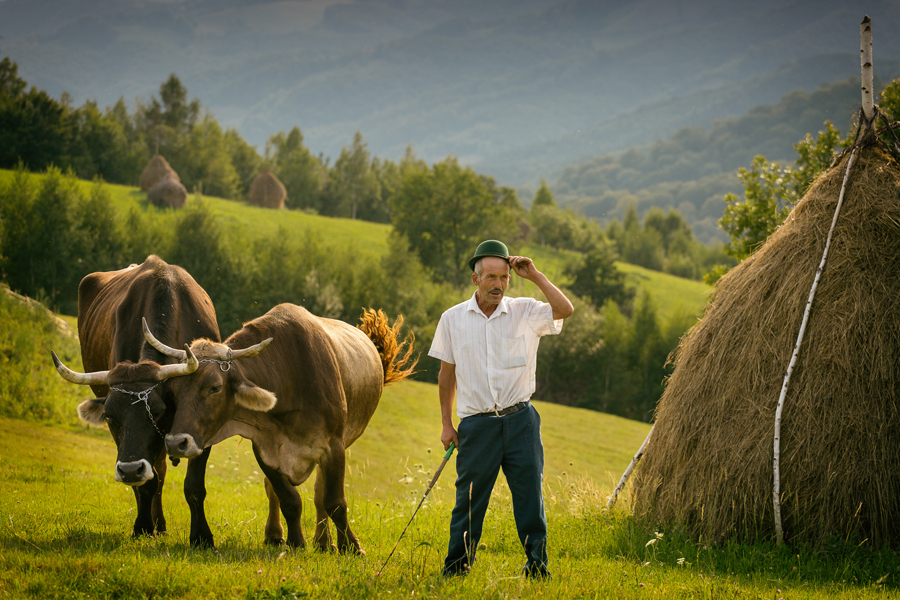 Nea Marcu - Holbav, Brasov